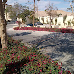 Photo n°4 de l'avis de Jörn.r fait le 18/04/2023 à 18:40 sur le  Mami Camilla Pizzeria à Berlin