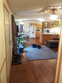 Carpet Depot - Photo 9 - Car repair in Whitmore Lake, MI, South Lyon