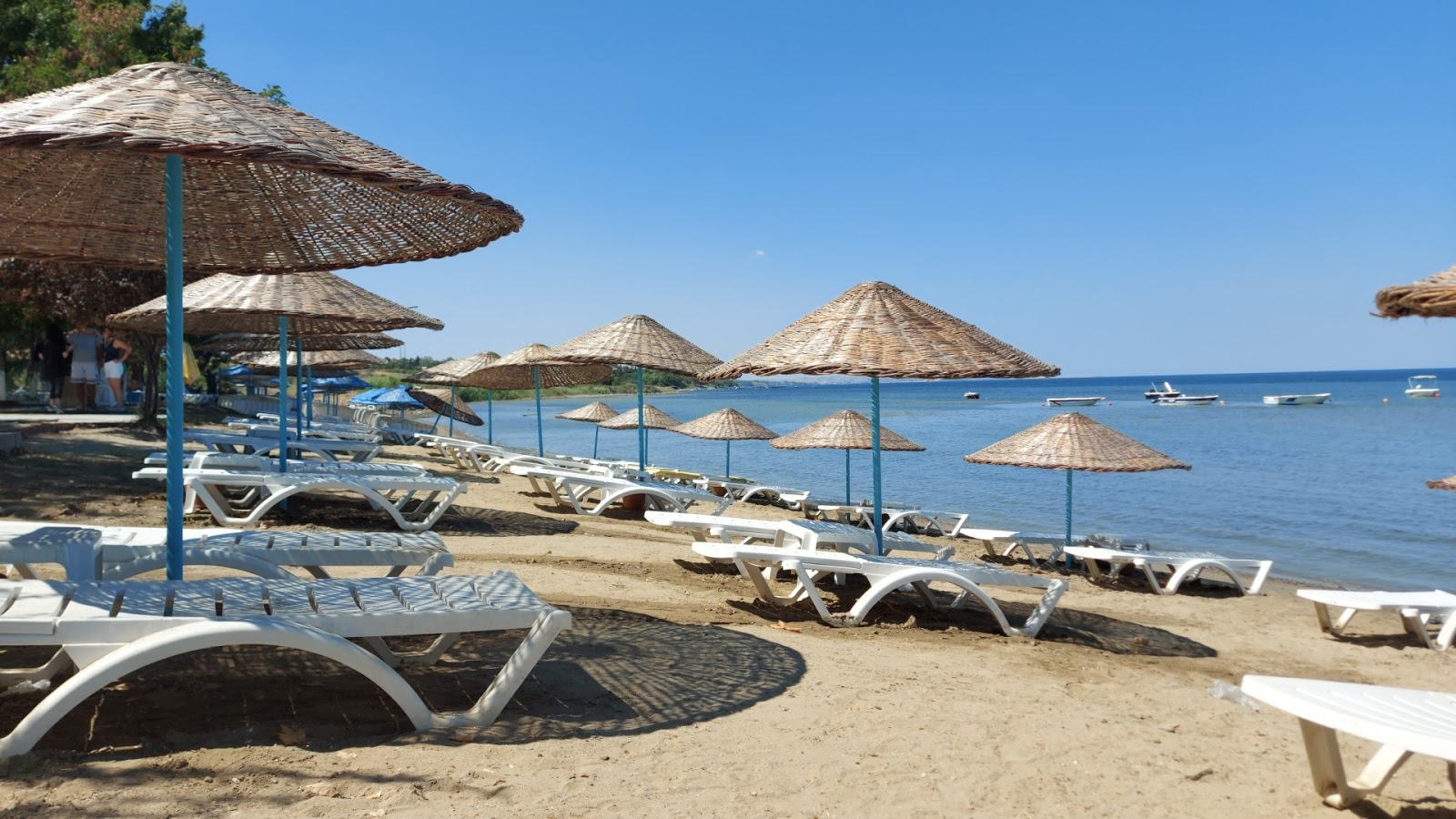 Saroz Beach photo #7
