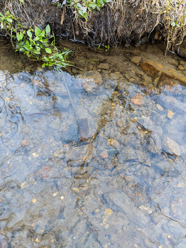 Nature Preserve «Ashland Nature Center of Delaware Nature Society», reviews and photos, 3511 Barley Mill Rd, Hockessin, DE 19707, USA