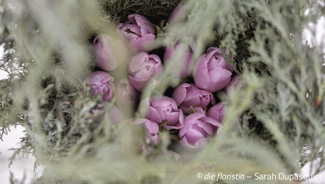 Blumenwerkstatt «die floristin» – Sarah Dupasquier - Luzern
