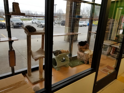Pet Supply Store «Pet Supplies Plus», reviews and photos, 6845 Highland Rd, White Lake, MI 48383, USA