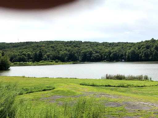 Discount Store «Dollar General», reviews and photos, 4984 NY-52, Jeffersonville, NY 12748, USA