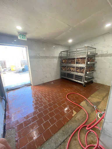 Grocery Store «Sandys Poultry Market», reviews and photos, 305 Madison Ave, Plainfield, NJ 07060, USA