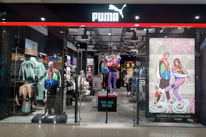 Puma image