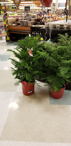 Grocery Store «Albertsons», reviews and photos, 4857 Government St, Baton Rouge, LA 70806, USA