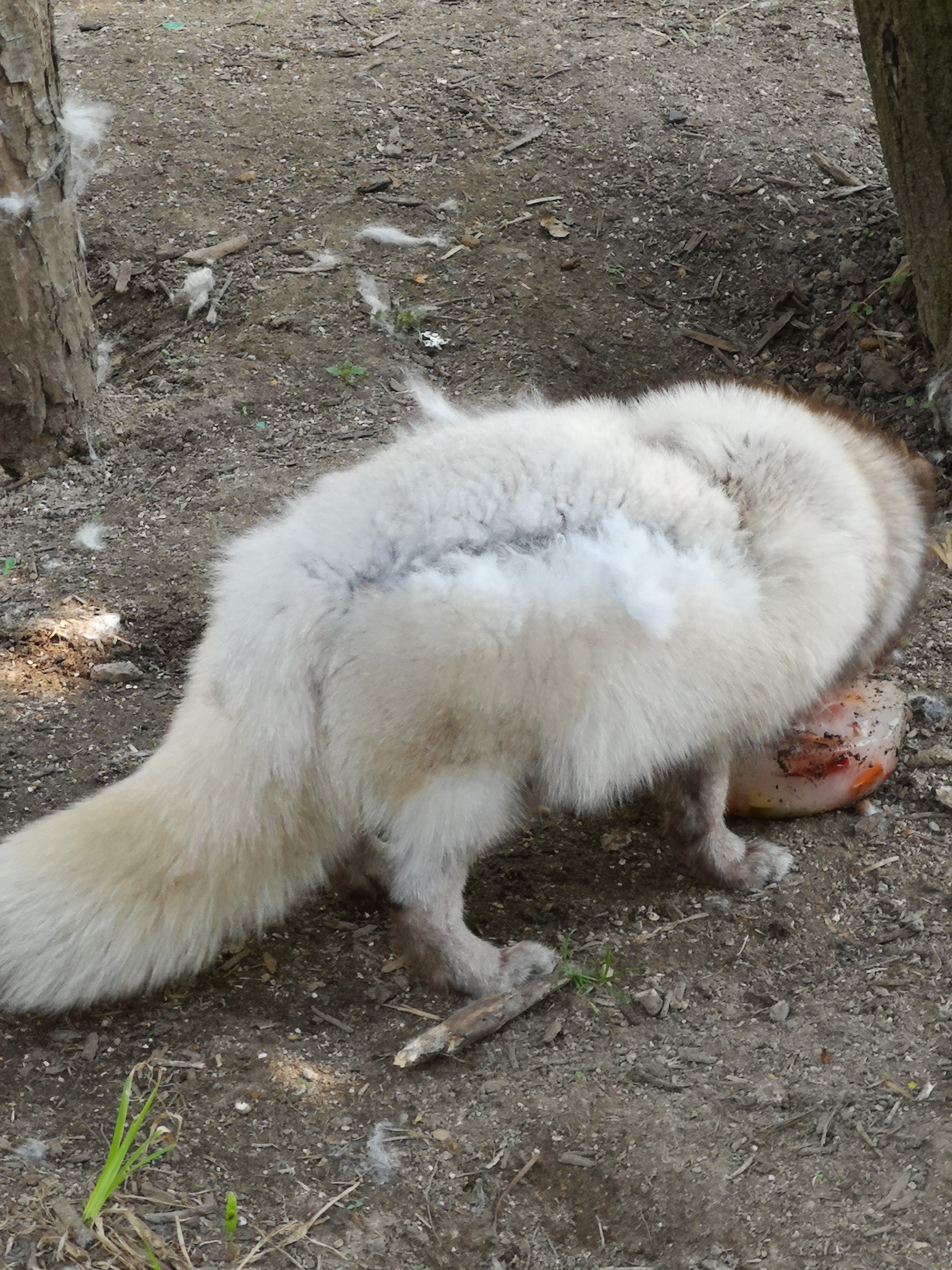 Photo n° 32 de l'avis de Bryan.r fait le 24/04/2018 à 19:19