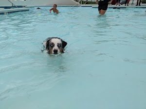 Springs Aquatic Center - photo 9