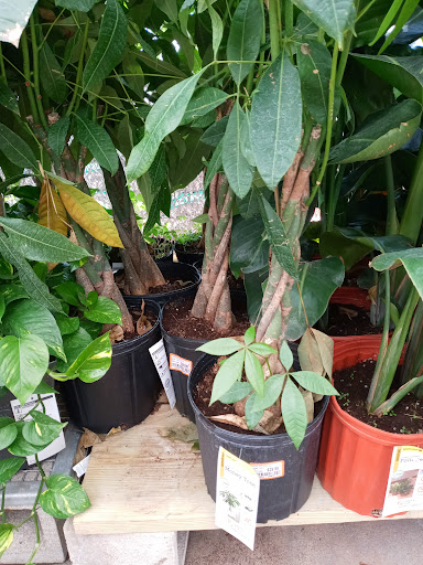 Home Improvement Store «The Home Depot», reviews and photos, 10017 US-19, Port Richey, FL 34668, USA