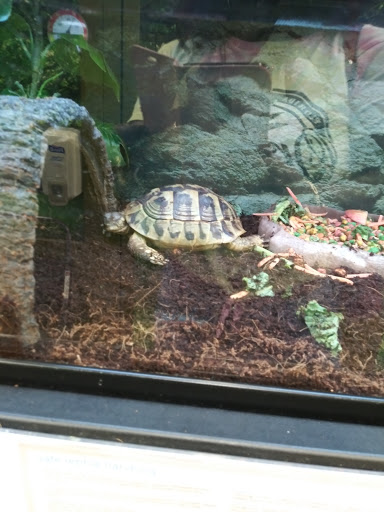 Pet Supply Store «Petco Animal Supplies», reviews and photos, 2565 NE 10th Ct, Homestead, FL 33035, USA