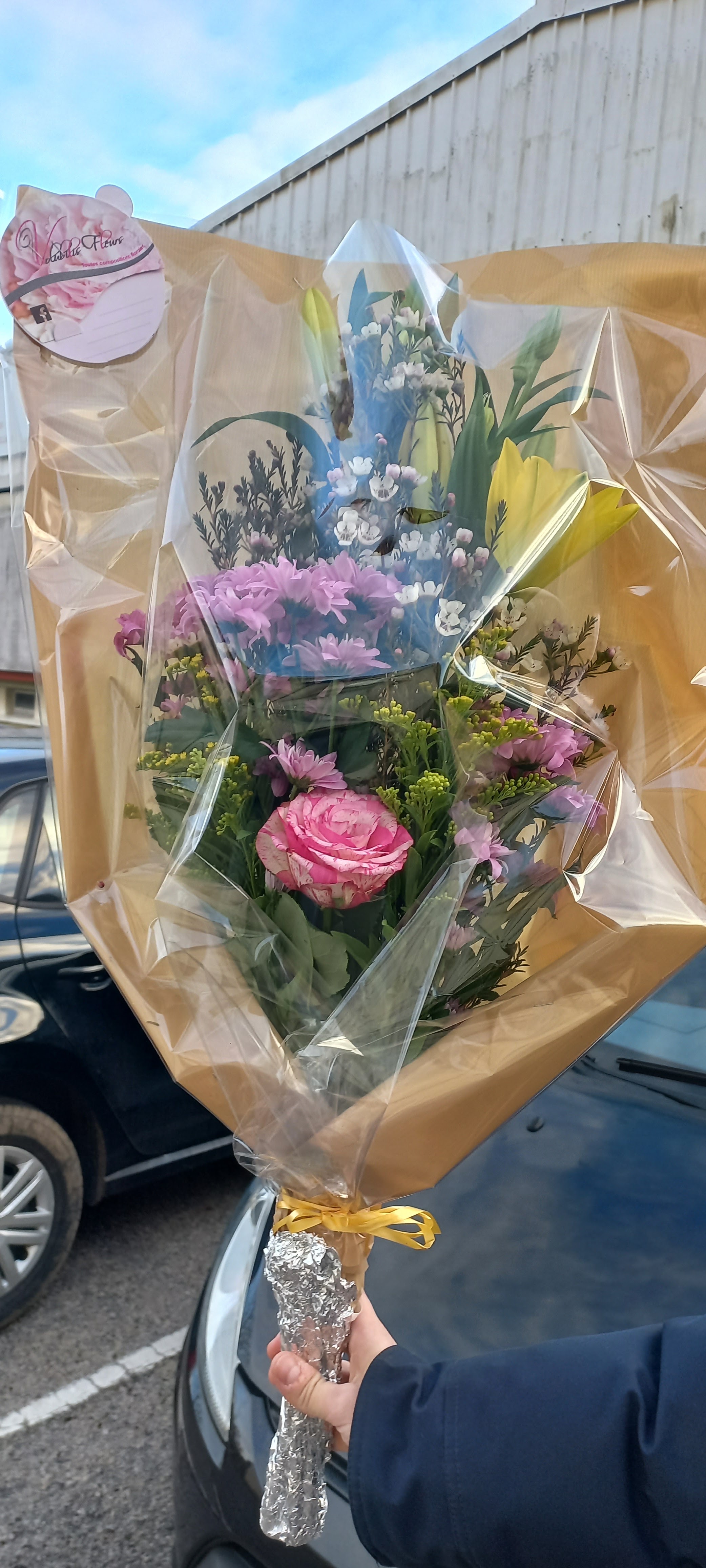 Photo n° 1 de l'avis de Gosselin. fait le 24/02/2022 à 12:34