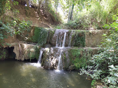 RETIROS DE BIENESTAR & MINDFULNESS EVOLUCION CENTER Bda. Pinar de Simón Verde, 72, B, 41927 Mairena del Aljarafe, Sevilla, España