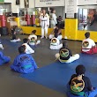 Soaring Eagles Taekwondo