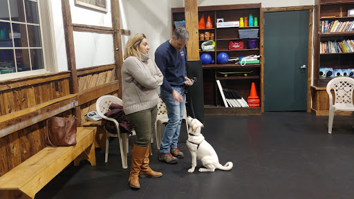 Dog Trainer «Awesome Dawgs Dog Training LLC», reviews and photos, 3052 Pricetown Rd, Temple, PA 19560, USA