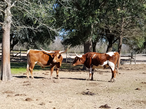 Museum «LSU Rural Life Museum», reviews and photos, 4560 Essen Ln, Baton Rouge, LA 70808, USA