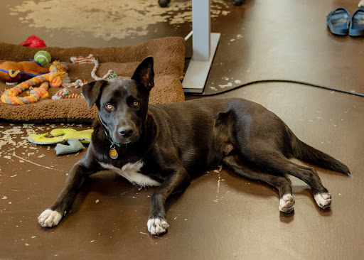 Gym «Method CrossFit», reviews and photos, 9809 E Easter Ave, Centennial, CO 80112, USA