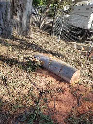 Golf Course «Fairmount Golf Course», reviews and photos, 2681 Dexter Dr, Riverside, CA 92501, USA