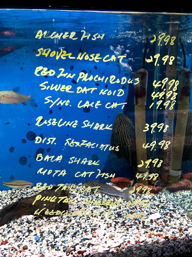 Aquarium Shop «Oranda aquarium», reviews and photos, 302 N La Brea Ave, Los Angeles, CA 90036, USA