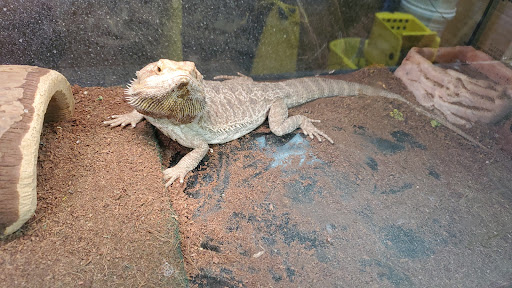 Pet Store «Cody PET DEPOT», reviews and photos, 556 Yellowstone Ave, Cody, WY 82414, USA