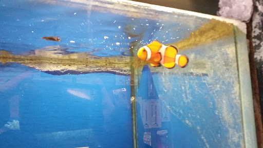 Pet Store «Marineland Pet Center», reviews and photos, 412 Oak Forest Dr, Onalaska, WI 54650, USA