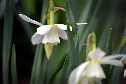 Banquet Hall «The Florian Gardens ~Weddings~Banquets~Events~», reviews and photos, 2340 Lorch Ave, Eau Claire, WI 54701, USA