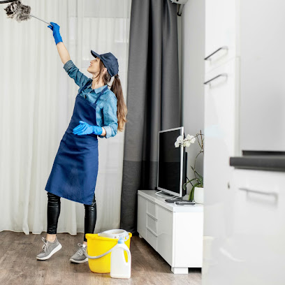 Evelyn cleaning service