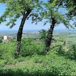 Photo n°1 de l'avis de Marco.o fait le 01/07/2023 à 12:08 sur le  Sapori Mediterranei à Castagneto Carducci