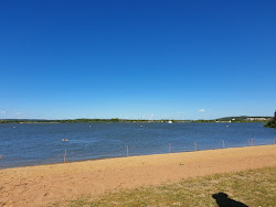 Schlungenhof Altmuhlsee strand'in fotoğrafı çok temiz temizlik seviyesi ile