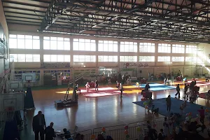 "Kontaxopouleio" Municipal Indoor Sports Hall image