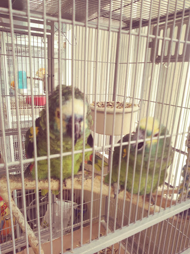 Pet Supply Store «El Granero Feed & Pet Supplies», reviews and photos, 2228 Church Ln, San Pablo, CA 94806, USA