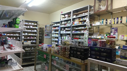 Farmacia Espíritu Santo Aquiles Serdan 80, De Los Camichines, 45750 Zacoalco De Torres, Jal. Mexico