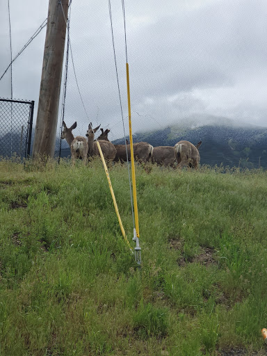Golf Course «Oquirrh Hills Golf Course», reviews and photos, 1255 E Vine St, Tooele, UT 84074, USA