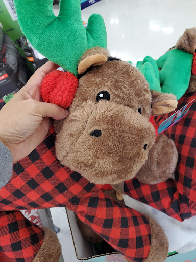 Pet Supply Store «Petco Animal Supplies», reviews and photos, 11398 Bandera Rd #403, San Antonio, TX 78250, USA