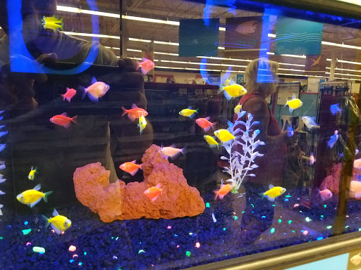 Pet Supply Store «Petco Animal Supplies», reviews and photos, 12014 SW 88th St, Miami, FL 33186, USA