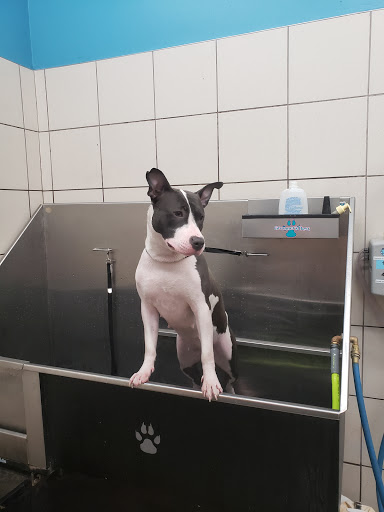 Pet Supply Store «Pet Supplies Plus», reviews and photos, 3205 W 115th St, Merrionette Park, IL 60803, USA