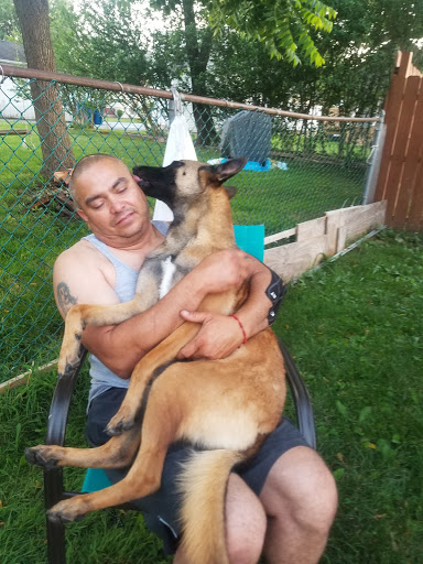 Pet Supply Store «Pet Supplies Plus», reviews and photos, 2223 Concord Pike, Wilmington, DE 19803, USA