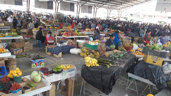 89Q5+JQF, Riobamba, Ecuador