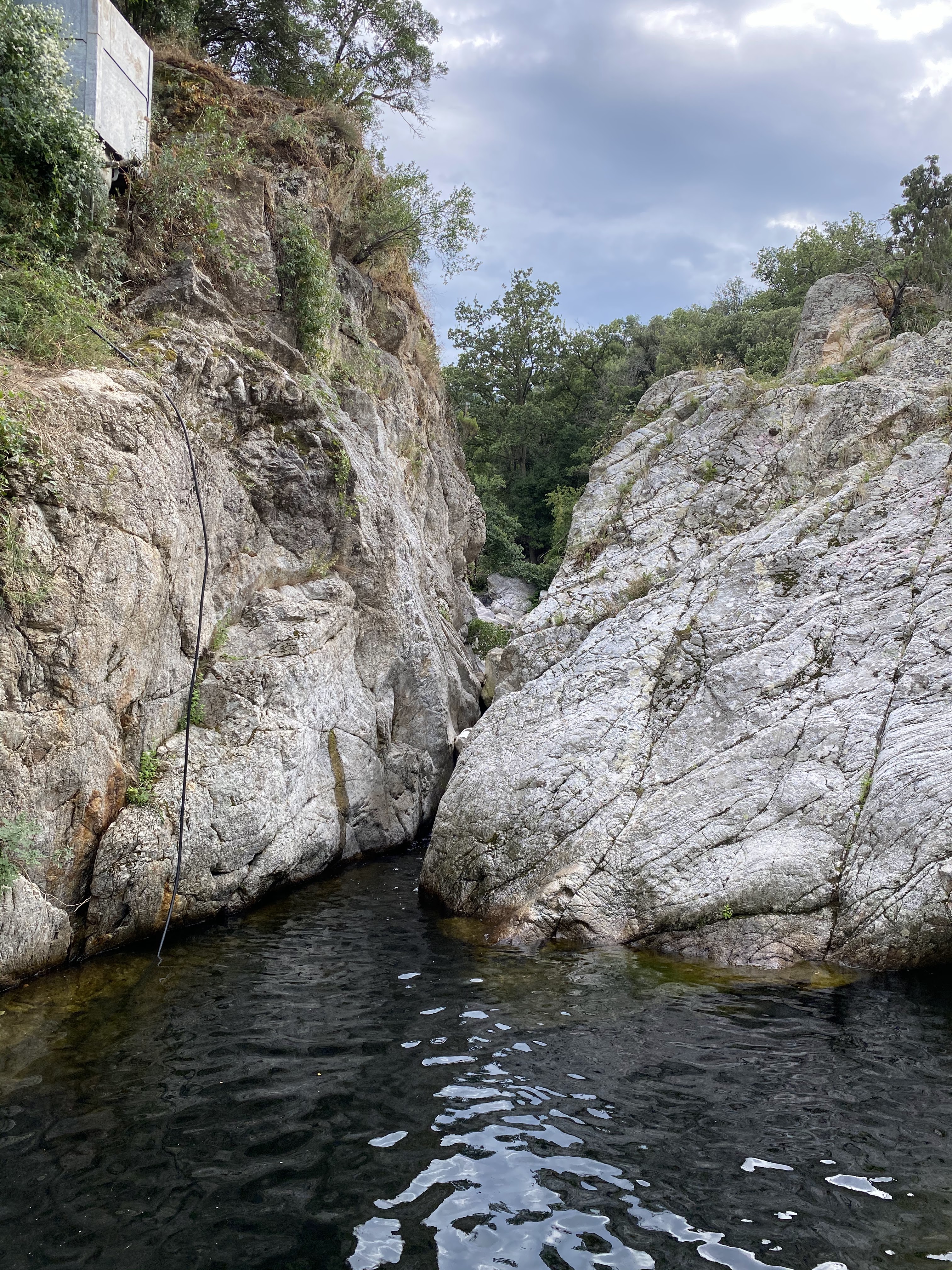 Photo n° 1 de l'avis de ricordeau.i fait le 12/07/2020 à 12:03
