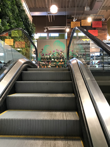 Grocery Store «Whole Foods Market», reviews and photos, 6610 Fairview Rd, Charlotte, NC 28210, USA