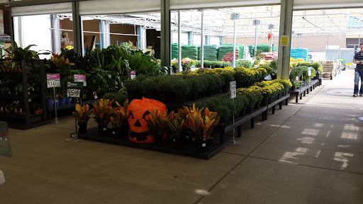 Department Store «Walmart Supercenter», reviews and photos, 3915 Gateway Dr, Eau Claire, WI 54701, USA