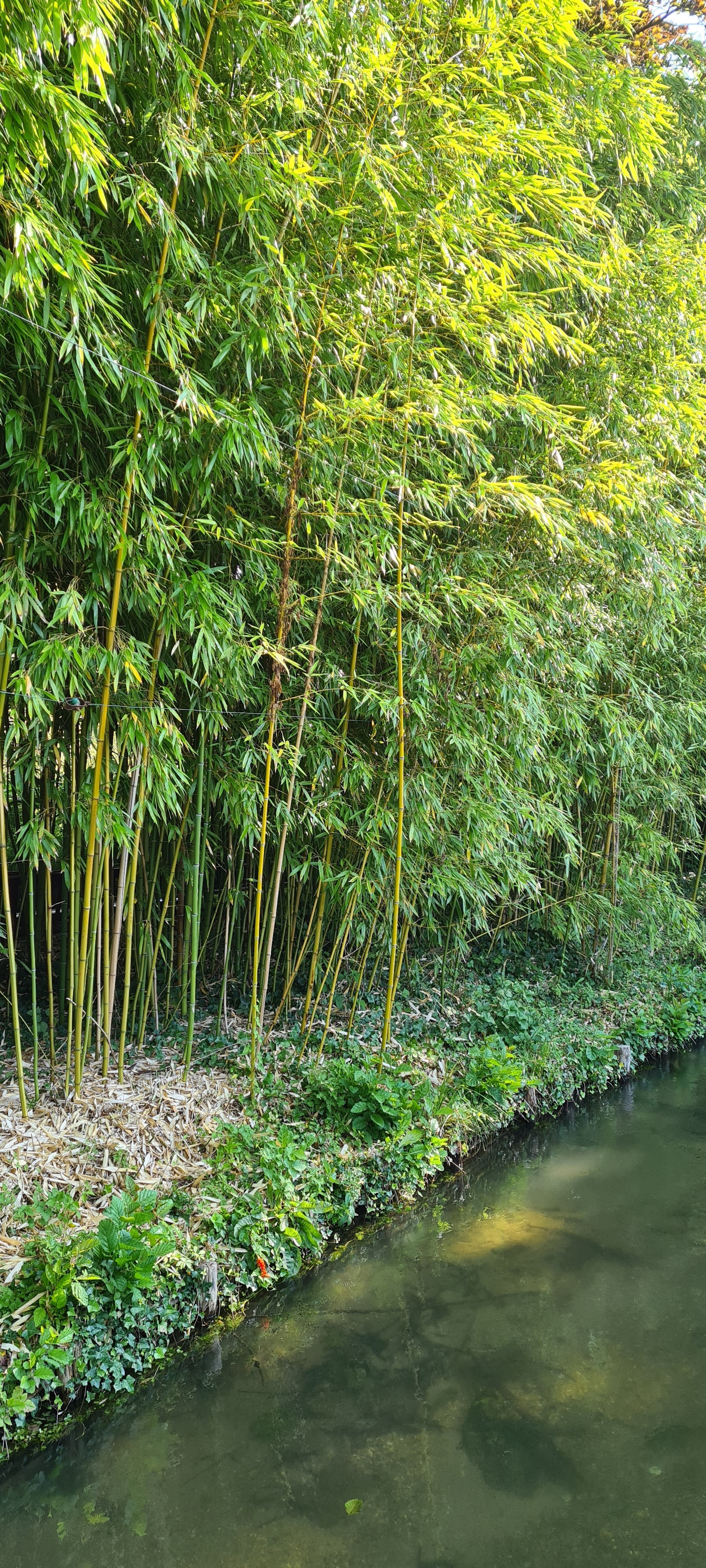 Photo n° 35 de l'avis de Gilles.o fait le 10/09/2021 à 06:37