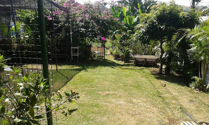 Hospital das Plantas Paraíso do Ipiranga Vila Dom Pedro I São Paulo SP