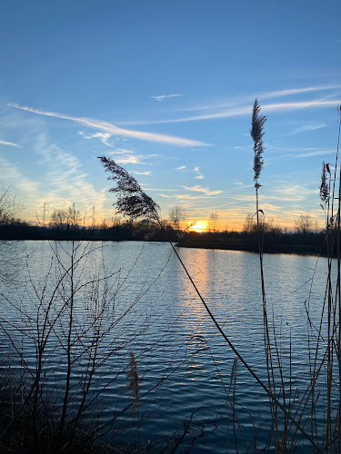 Four de louge à Muret