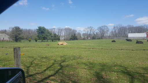 Golf Course «Bel-Aire Golf Course», reviews and photos, 3120 Allaire Rd, Wall Township, NJ 07719, USA