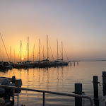 Photo n°2 de l'avis de pia.a fait le 27/06/2022 à 21:44 sur le  Il Ristorantino - Lega Navale Italiana Grado à Grado