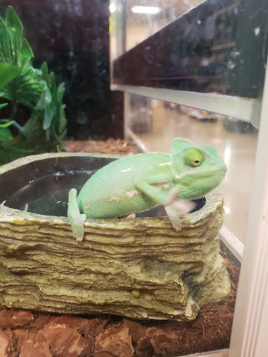 Pet Supply Store «PetSmart», reviews and photos, 9905 E Independence Blvd, Matthews, NC 28105, USA