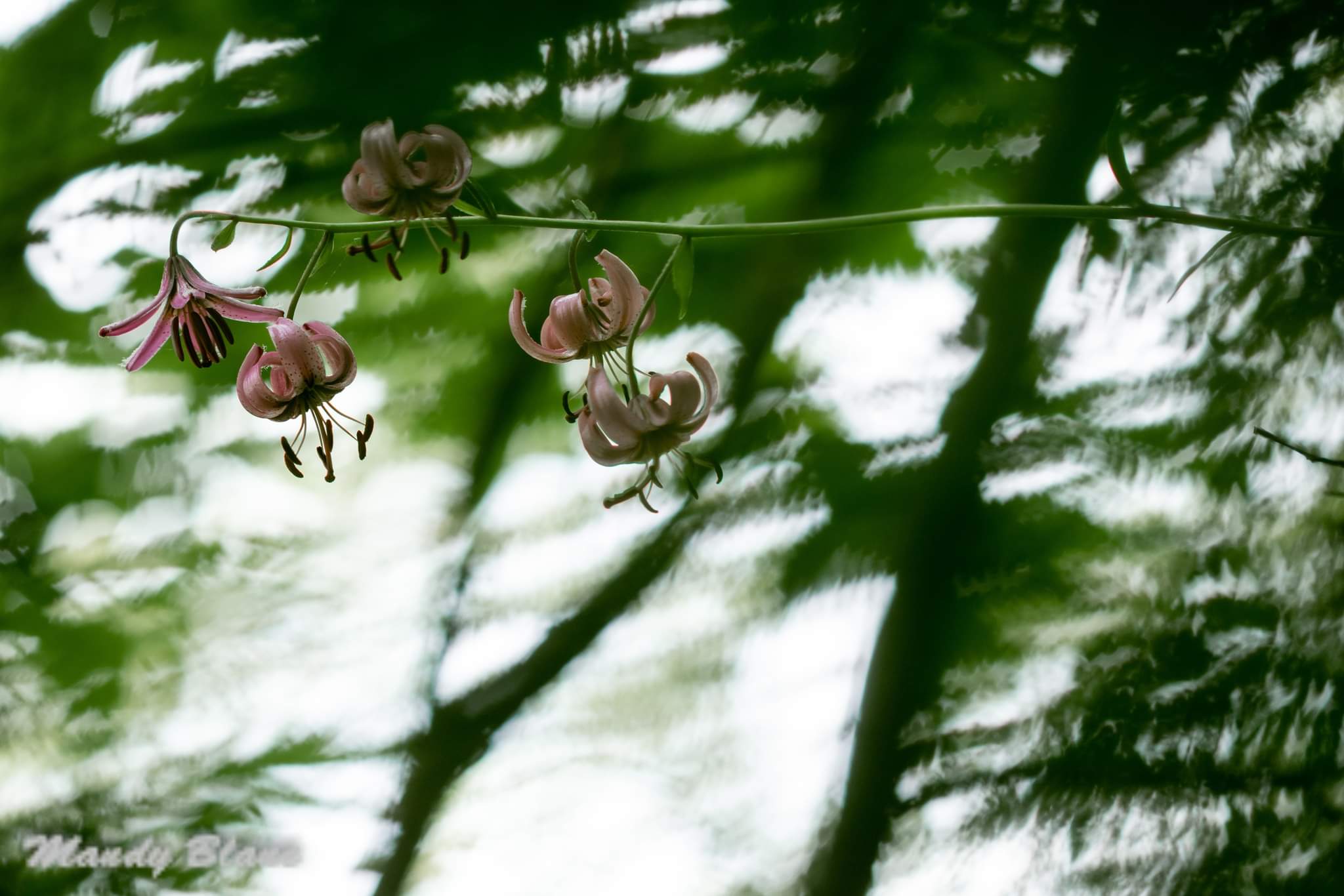 Photo n° 1 de l'avis de Mandy.a fait le 10/02/2023 à 08:31