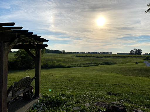Winery «Meranda-Nixon Winery», reviews and photos, 6517 Laycock Rd, Ripley, OH 45167, USA