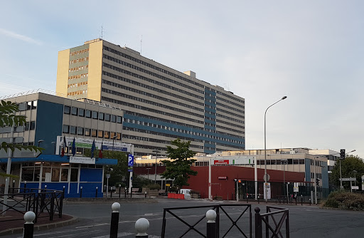 Henri-Mondor University Hospital