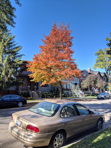 Park «Welles Park», reviews and photos, 2333 W Sunnyside Ave, Chicago, IL 60625, USA